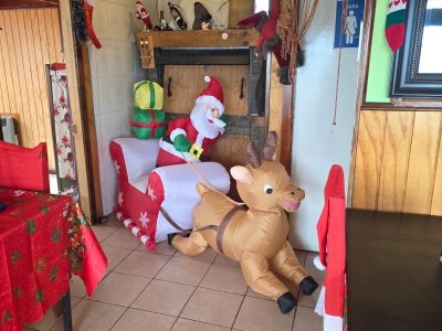 400ea478-1bc6-4376-b0b8-c4d147d1351c