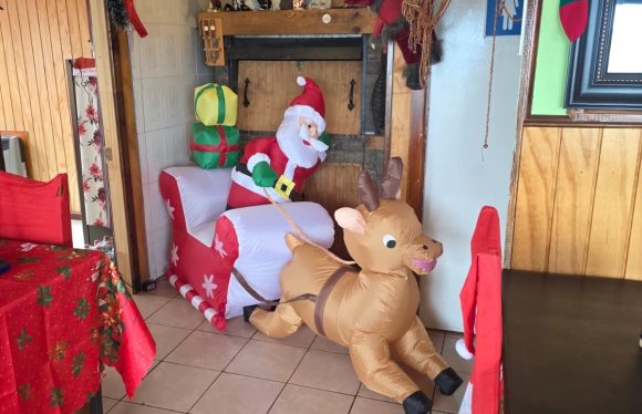 400ea478-1bc6-4376-b0b8-c4d147d1351c